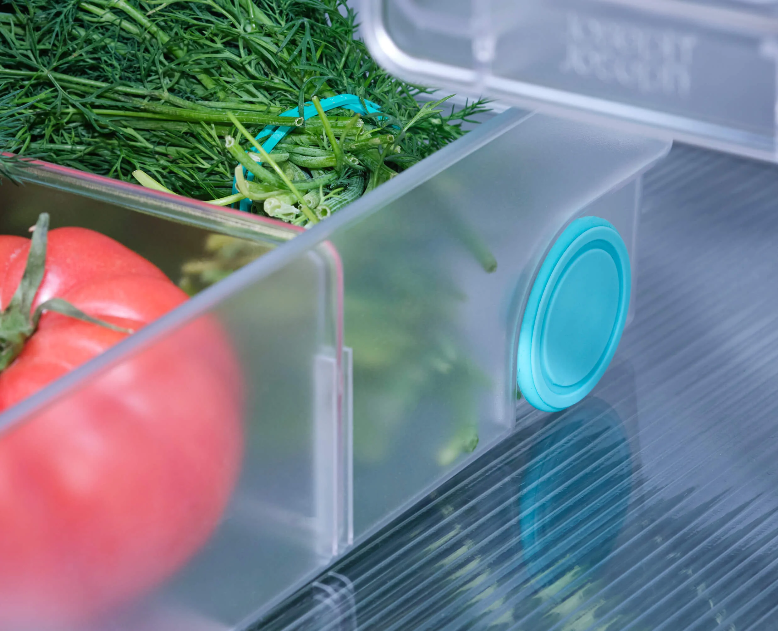 FridgeStore™ Extra Large Storage Bin - Image 5